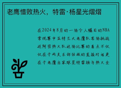 老鹰惜败热火，特雷·杨星光熠熠